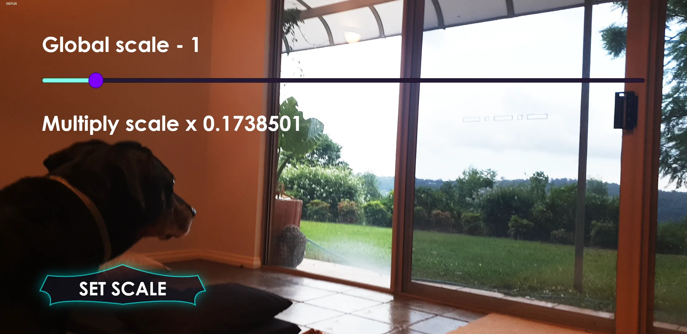 How to Play AR TCG. A person and a dog in a living room using augmented reality.